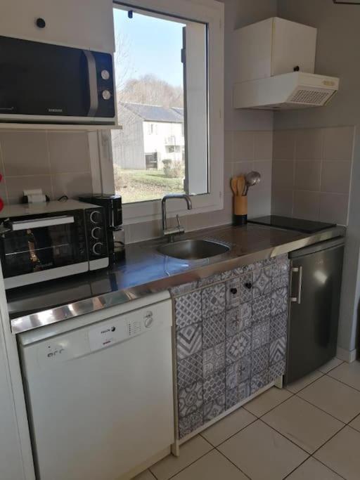 Appartement Calme Et Propre Le Goelia Saint-Geniez-dʼOlt Εξωτερικό φωτογραφία
