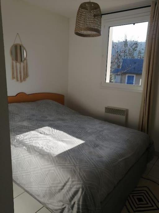 Appartement Calme Et Propre Le Goelia Saint-Geniez-dʼOlt Εξωτερικό φωτογραφία